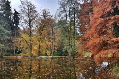 Jezera arboretum volcji potok 3