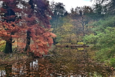 Jezera arboretum volcji potok 4