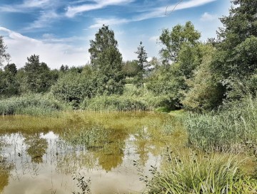 Ribnik v Zadobrovi | Vsa slovenska jezera | Moja jezera | Manca Korelc