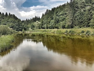 Ribnik v Lahovni | Vsa slovenska jezera | Moja jezera | Manca Korelc