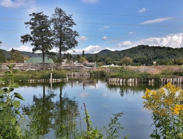 Ribnik v Sostrem | Vsa slovenska jezera | Moja jezera | Manca Korelc