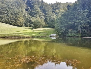 Ribnik v Završju | Vsa slovenska jezera | Moja jezera | Manca Korelc