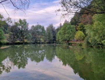Bajer Močile | Vsa slovenska jezera | Moja jezera | Manca Korelc