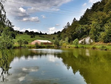 Bajer Močile | Vsa slovenska jezera | Moja jezera | Manca Korelc