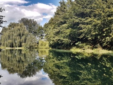 Ribnik Prebold | Moja jezera | Vsa slovenska jezera | Manca Korelc