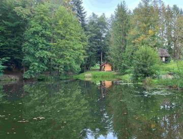 Ribnik v Založah | Moja jezera | Vsa slovenska jezera | Manca Korelc