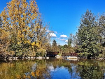 Jezerci v Bio parku Nivo | Vsa slovenska jezera | Moja jezera | Manca Korelc