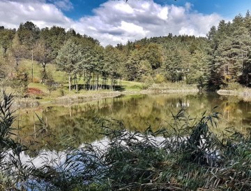 Ribniki v Zabukovici | Vsa slovenska jezera | Moja jezera | Manca Korelc