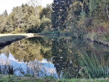 Ribnik v Proseniškem | Vsa slovenska jezera | Moja jezera | Manca Korelc