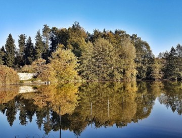 Ribniki v Goričici | Vsa slovenska jezera | Moja jezera | Manca Korelc