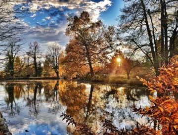 Jezerca v Arboretumu Volčji Potok | Vsa slovenska jezera | Moja jezera | Manca Korelc