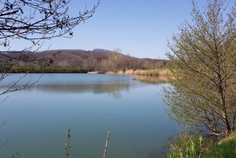 Vogrsko jezero vogrscek 5