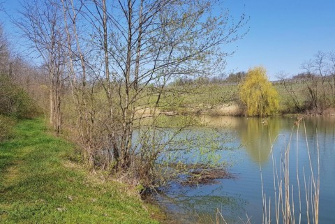 Vogrsko jezero vogrscek 8