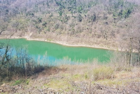 Vogrsko jezero vogrscek