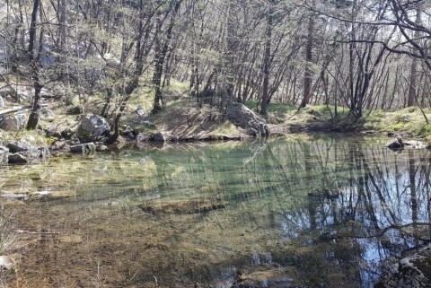Vitovsko jezero vitovlje 2