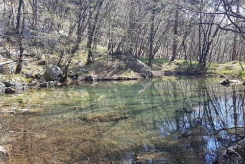 Vitovsko jezero vitovlje 3
