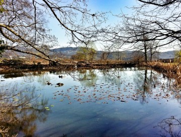 Kersnikov ribnik | Moja jezera | Vsa slovenska jezera | Manca Korelc