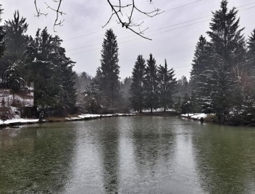 Erikov ribnik | Vsa slovenska jezera | Moja jezera | Manca Korelc