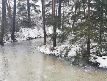 Mali ribnik v Prečni | Moja jezera | Vsa slovenska jezera | Manca Korelc
