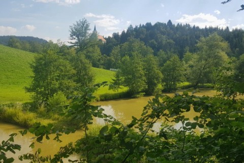 Ribnik v razgorju 1