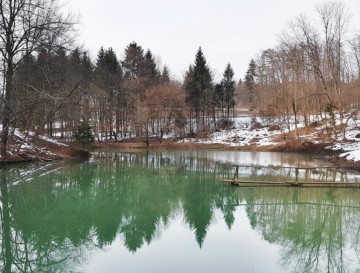 Ribnik Vodranec | Moja jezera | Vsa slovenska jezera | Manca Korelc