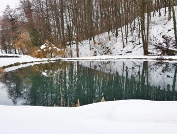 Ribnik Jerman | Moja jezera | Vsa slovenska jezera | Manca Korelc