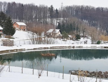 Ribnik v Sevnem | Moja jezera | Vsa slovenska jezera | Manca Korelc