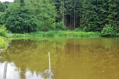 Ribnik s hotelom 3