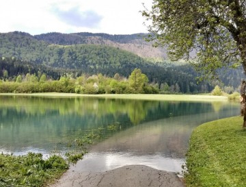 Rakitniško jezero | Moja jezera | Vsa slovenska jezera | Manca Korelc