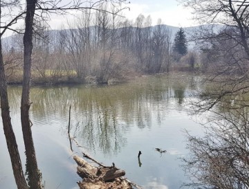 Renški ribnik | Vsa slovenska jezera | Moja jezera | Manca Korelc