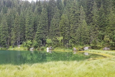 Jezero koca pri planini pri jezeru 1