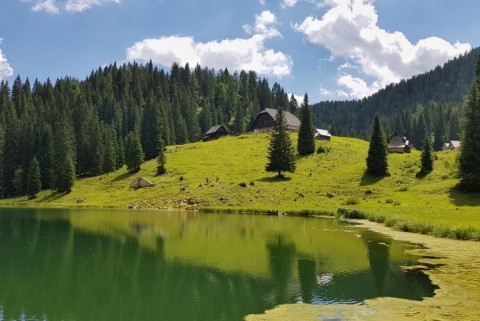 Jezero koca pri planini pri jezeru 9