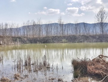 Ribnika v Volčji Dragi | Vsa slovenska jezera | Moja jezera | Manca Korelc