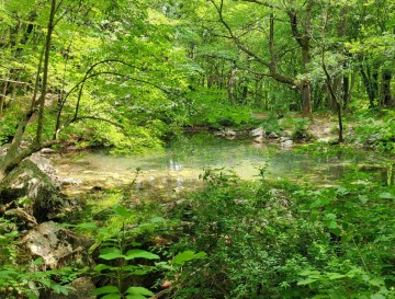 Vitovsko jezero | Moja jezera | Vsa slovenska jezera | Manca Korelc