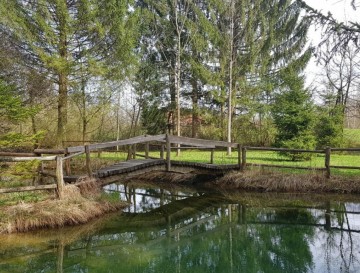 Ribnik pod Pargo | Vsa slovenska jezera | Moja jezera | Manca Korelc