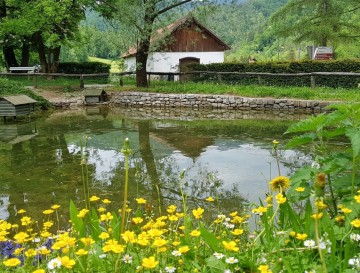 Ribnik Polhov Gradec | Vsa slovenska jezera | Moja jezera | Manca Korelc
