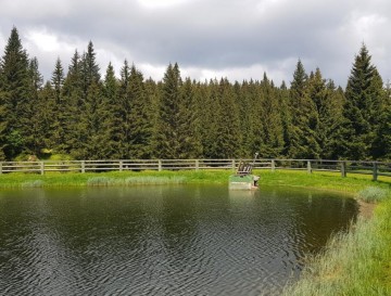 Akumulacijsko jezero na Rogli | Vsa slovenska jezera | Moja jezera | Manca Korelc