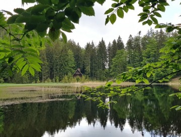 Ribnik Jezerc | Vsa slovenska jezera | Moja jezera | Manca Korelc