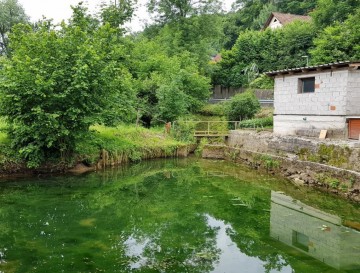 Ribnik v Trzinu | Vsa slovenska jezera | Moja jezera | Manca Korelc