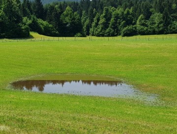 Lokev v Predgrižah | Vsa slovenska jezera | Moja jezera | Manca Korelc