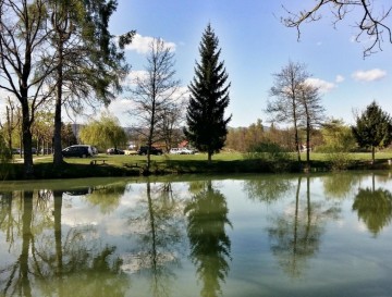 Sinjegoriški ribnik | Moja jezera | Vsa slovenska jezera | Manca Korelc