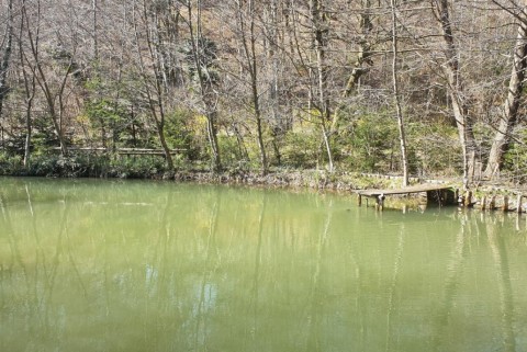 Kamnika bistrica godi jezero moja jezera manca korelc 5