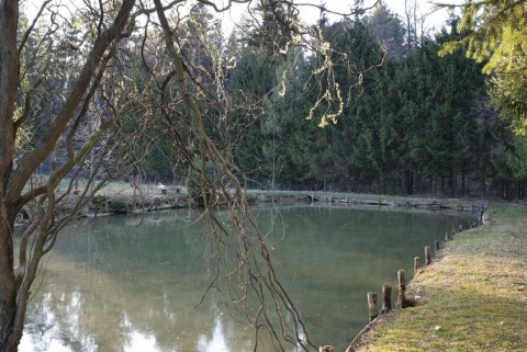 Ribnik ranc pri vancu moja jezera jezera slovenije manca korelc 1