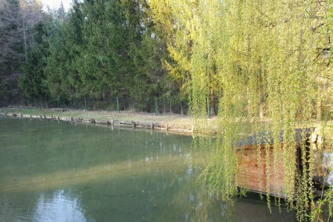 Ribnik ranc pri vancu moja jezera jezera slovenije manca korelc 2