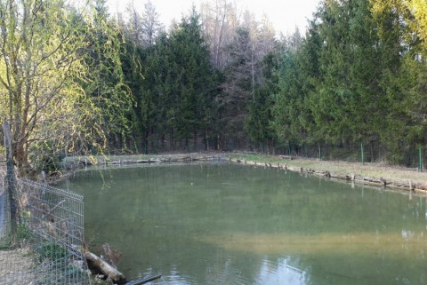 Ribnik ranc pri vancu moja jezera jezera slovenije manca korelc 4