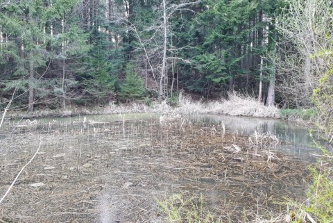 Vransko ribnik moja jezera manca korelc 8