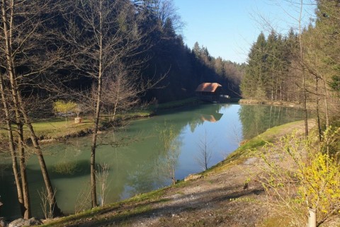 Ribnik pri lisjaku kozolec pri ribniku moja jezera jezera slovenije manca korelc 1