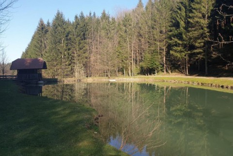Ribnik pri lisjaku kozolec pri ribniku moja jezera jezera slovenije manca korelc 3