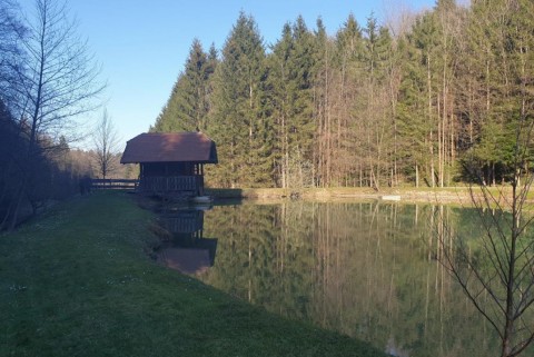 Ribnik pri lisjaku kozolec pri ribniku moja jezera jezera slovenije manca korelc 4