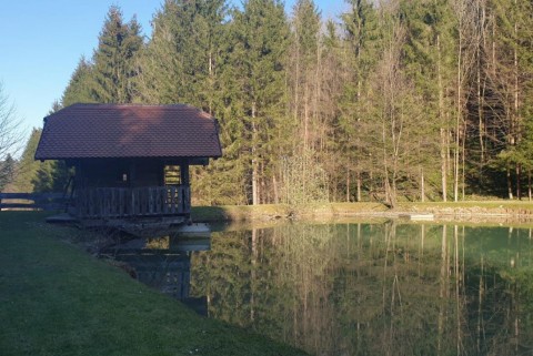 Ribnik pri lisjaku kozolec pri ribniku moja jezera jezera slovenije manca korelc 5